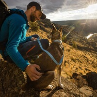 Col Hi & Light, Ruffwear