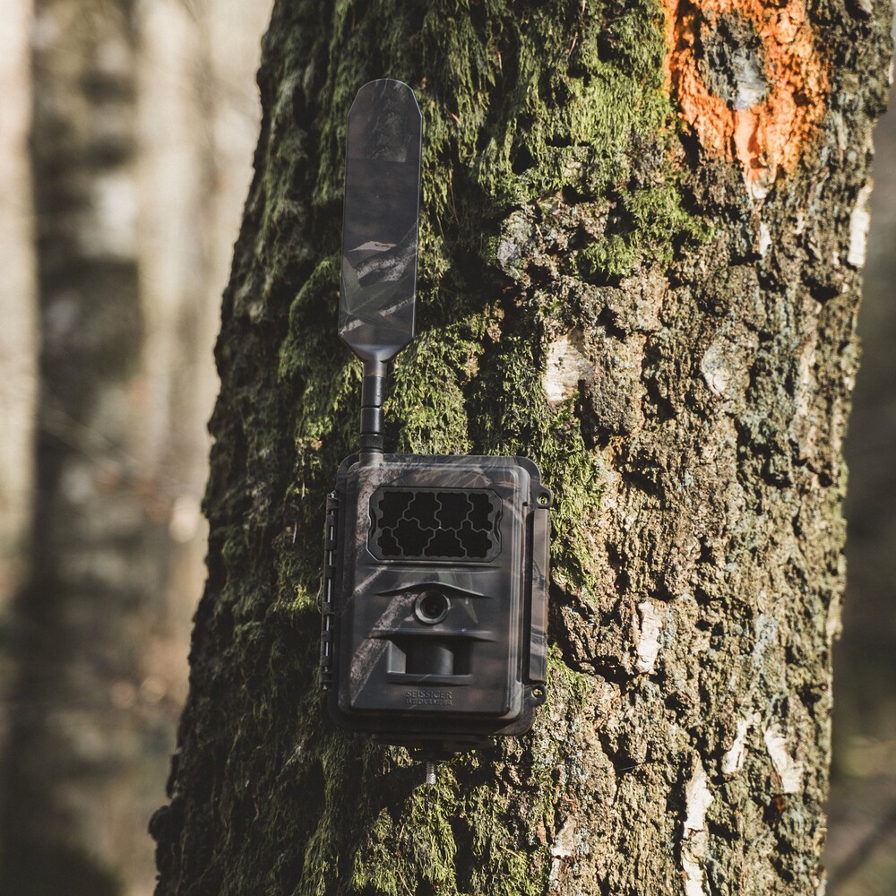 Wildlife camera Special-Cam LTE Supersim Edition with battery, Seissiger