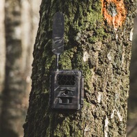 Wildlife camera Special-Cam LTE Supersim Edition with battery, Seissiger