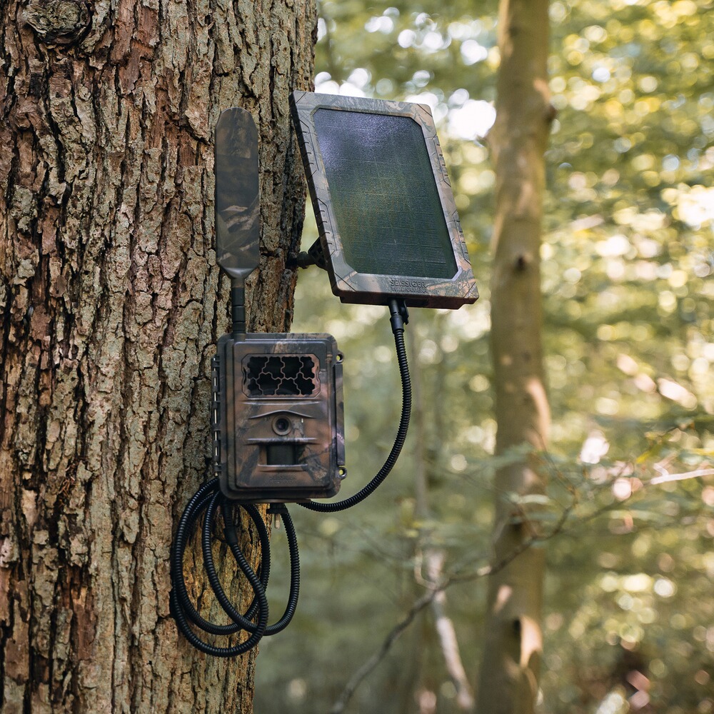 Wildlife camera Special-Cam LTE Supersim Edition with battery, Seissiger