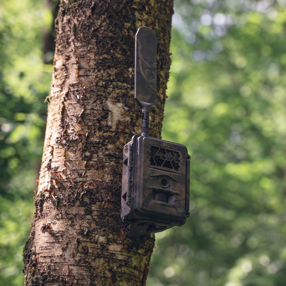 Wildkamera Special-Cam LTE - SUPERSIM-Edition inkl. Batterien, SEISSIGER