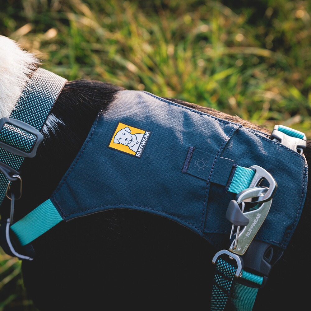 Harnais pour chien Hi & Light™ Harness, Ruffwear