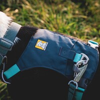 Harnais pour chien Hi & Light™ Harness, Ruffwear
