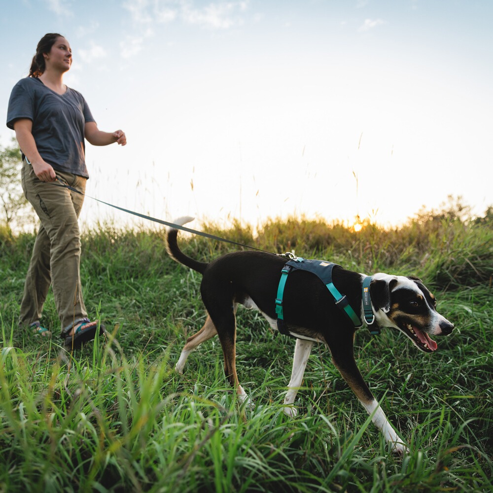Harnais pour chien Hi & Light™ Harness, Ruffwear
