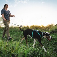 Harnais pour chien Hi & Light™ Harness, Ruffwear