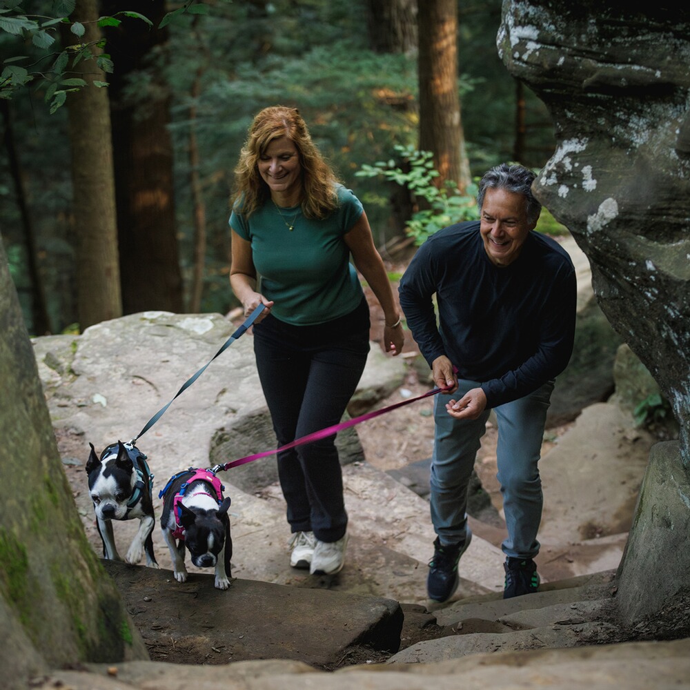 Harnais pour chien Hi & Light™ Harness, Ruffwear