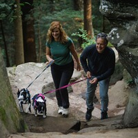 Harnais pour chien Hi & Light™ Harness, Ruffwear