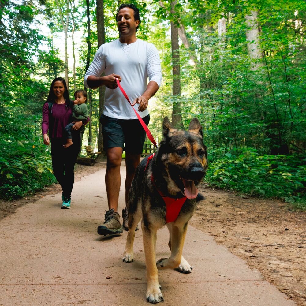 Harnais pour chien Front Range® nouveau modèle, Ruffwear