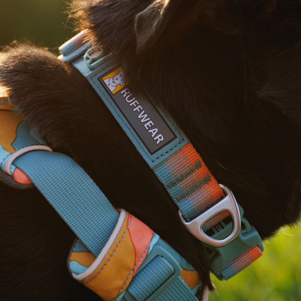 Collier Front Range® nouveau modèle, Ruffwear
