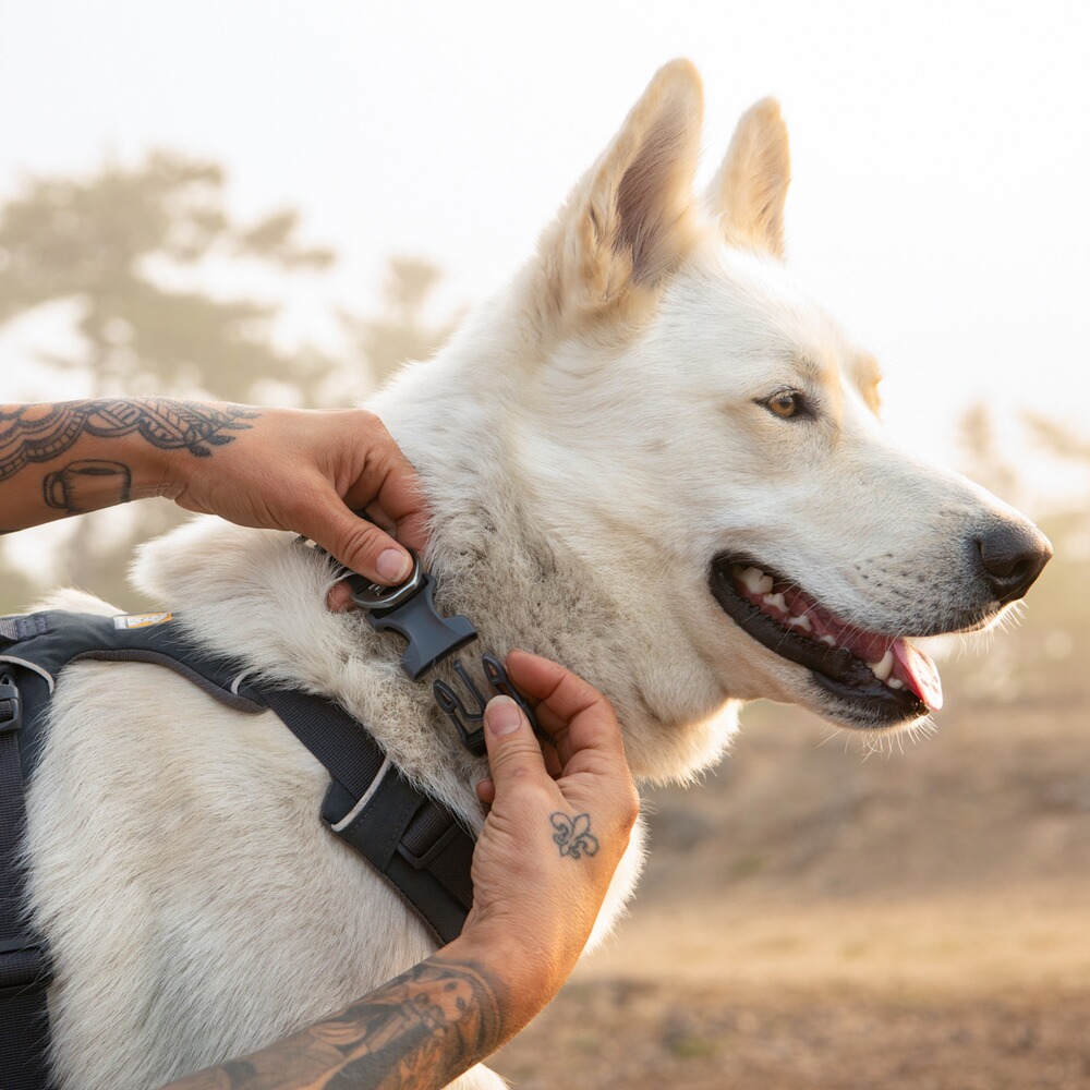 Collar Front Range® new model, Ruffwear