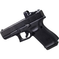 Rotpunktvisier RMS2, Shield