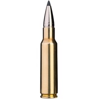 8,5x55 Blaser CDX 11,7g/180grs., Blaser