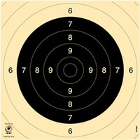 Shooting Target Sport Pistol Mirror Precision – 250 pieces, Krüger Druck + Verlag