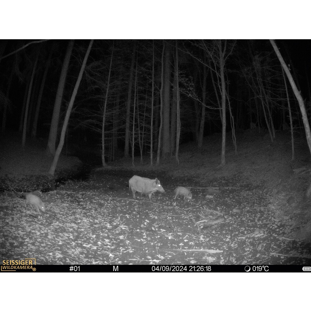 Wildkamera Mini-Cam, SEISSIGER