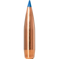 .300 PRC Bondstrike Extreme 11.7g/180grs., Norma