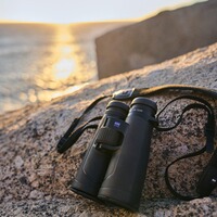 Fernglas SFL 12x50, ZEISS