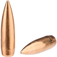 Geschosse .323 Vlm BT 12,7g/196grs., Sellier & Bellot