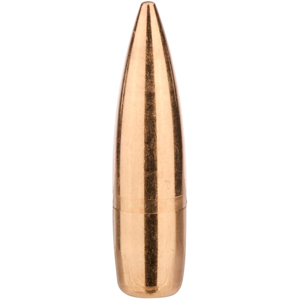 Geschosse .311 Vlm BT 11,7g/180grs.