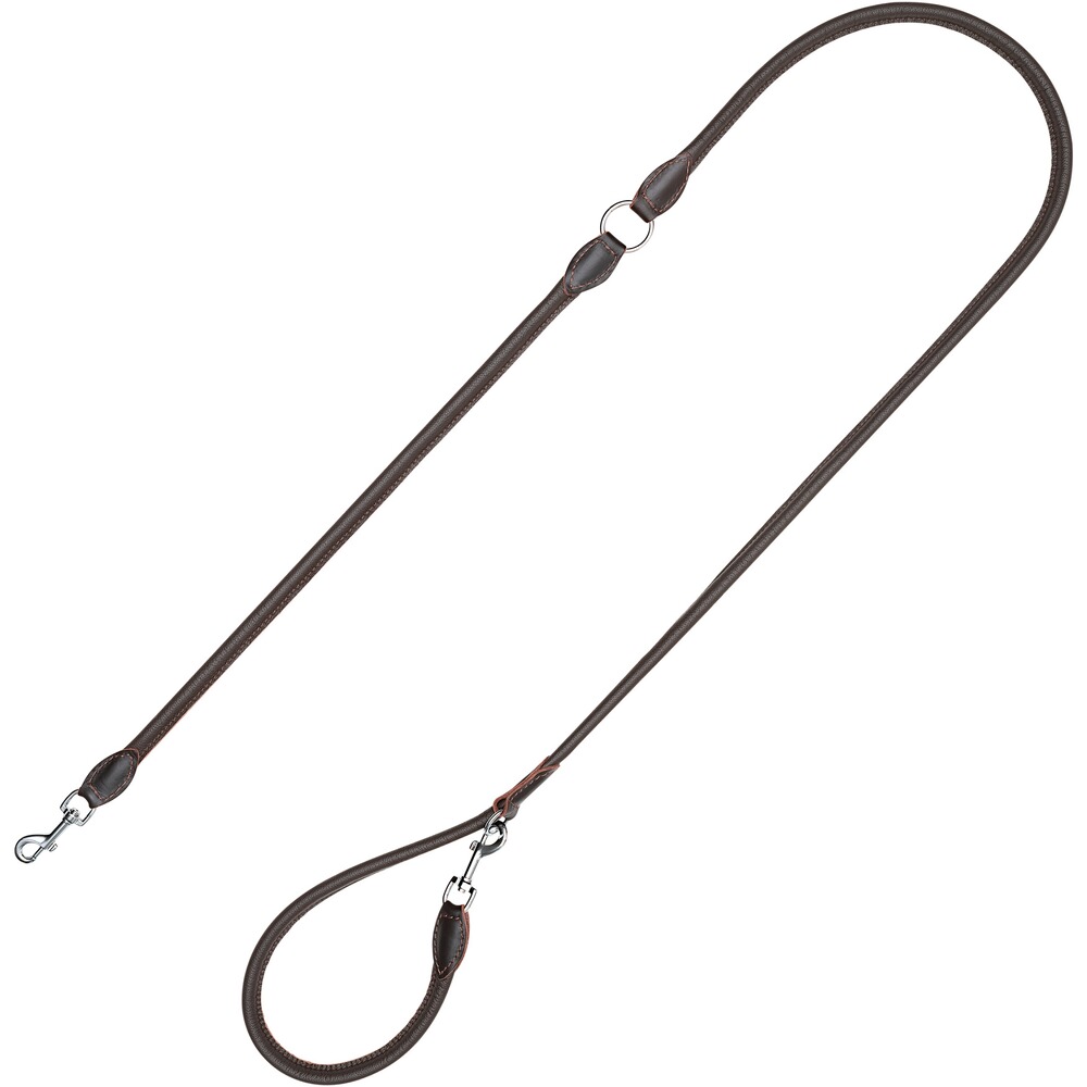 Hundeleine Leder, Blaser