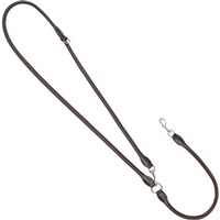 Hundeleine Leder, Blaser