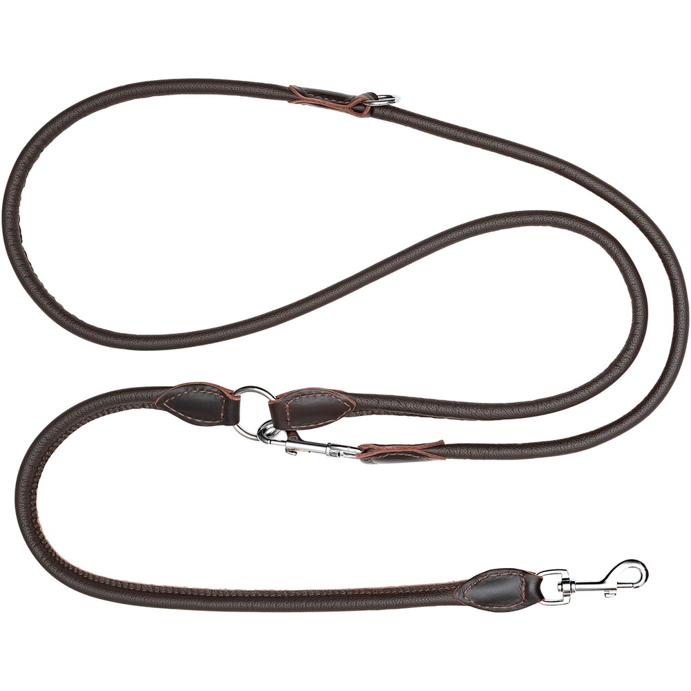 Hundeleine Leder, Blaser