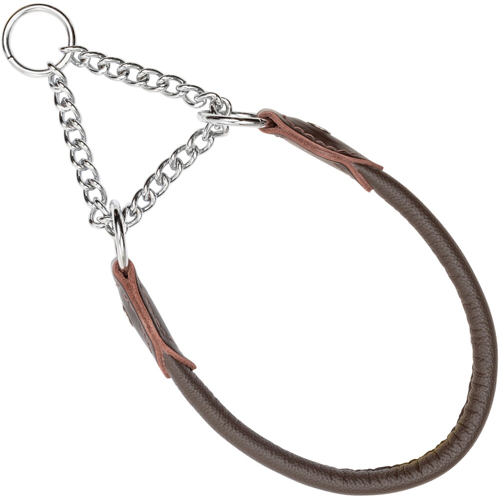Hundehalsung Leder
