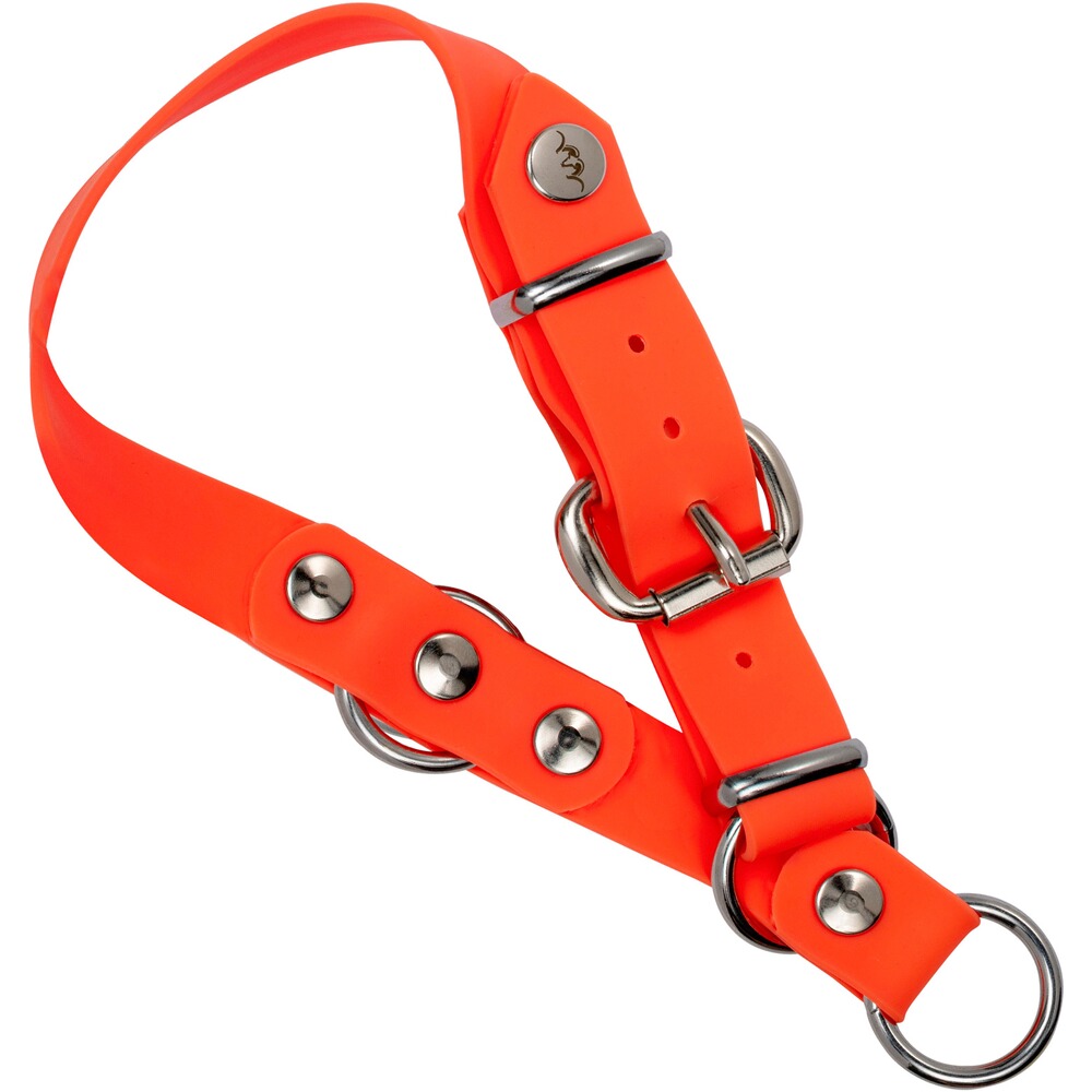 Hundehalsung Professional Orange