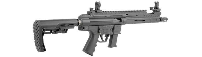 Selbstladebüchse GSG-9 Sport Compact, German Sport Guns