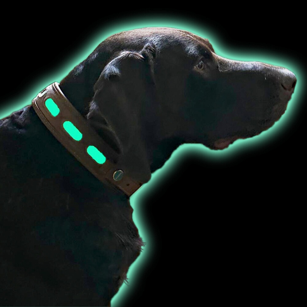 Lederhalsung Lichtblick, Niggeloh