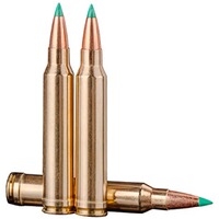 .300 Win. Mag. Powerhead Blade Pro 11,3g/175grs., Sako