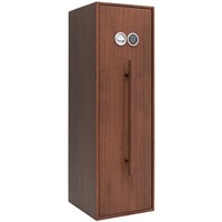 Steel cabinet St. Gallen WF Cargo pull-out safe, ISS