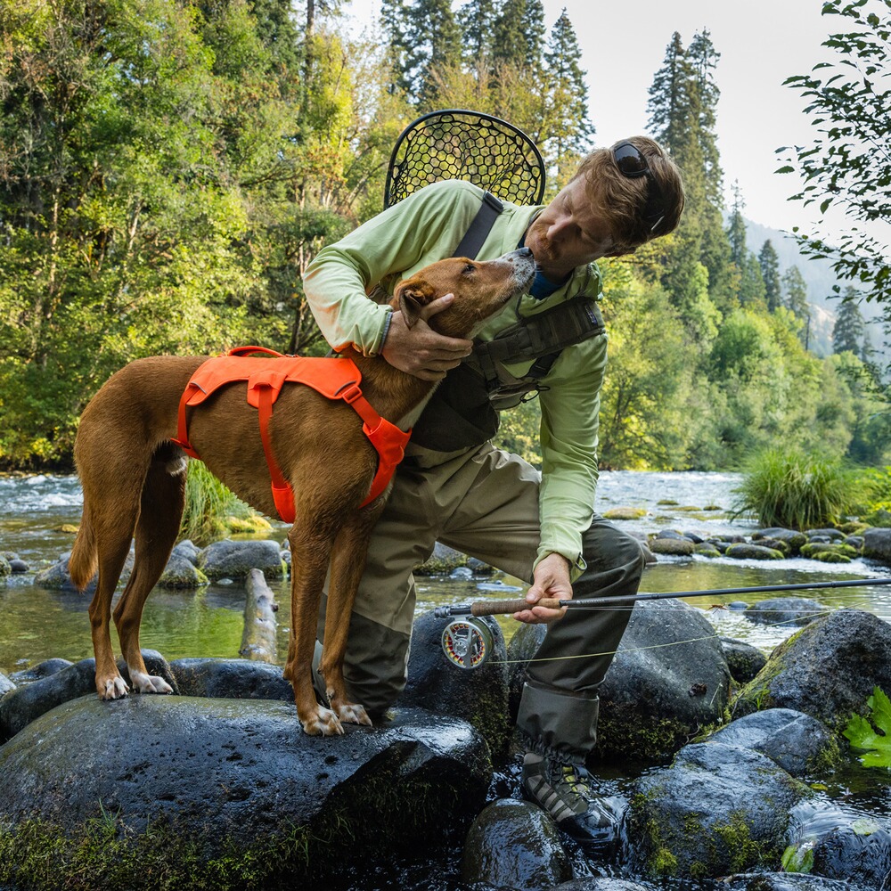 Dog Harness Web Master™, Ruffwear
