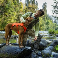 Dog Harness Web Master™, Ruffwear