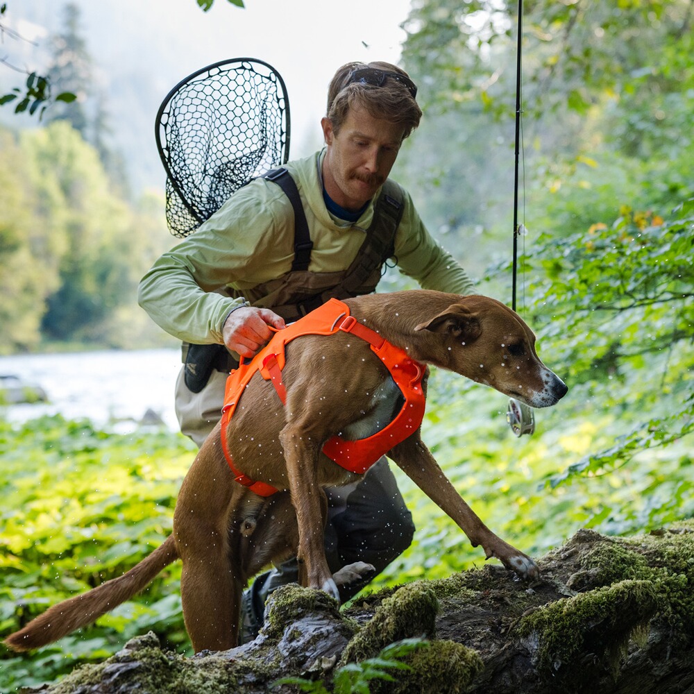 Dog Harness Web Master™, Ruffwear