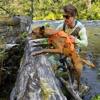 Dog Harness Web Master™, Ruffwear