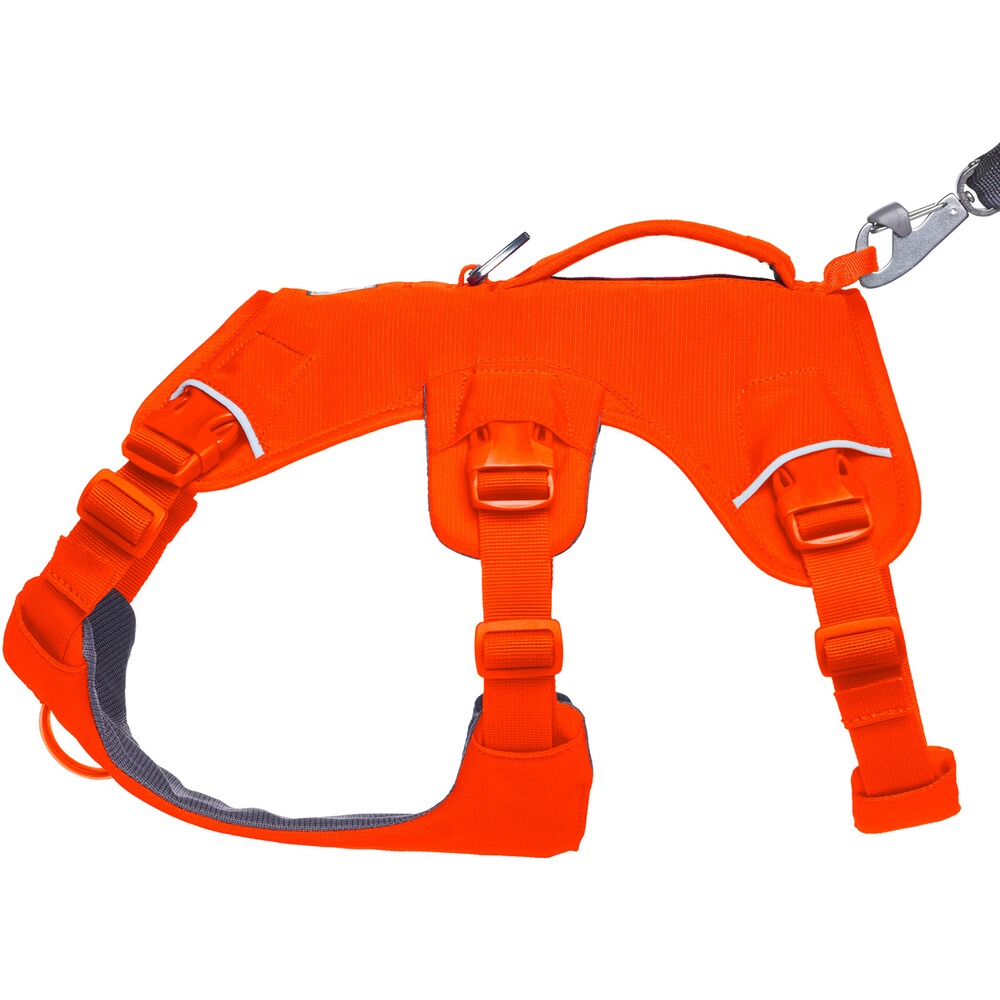 Dog Harness Web Master™, Ruffwear