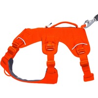 Dog Harness Web Master™, Ruffwear