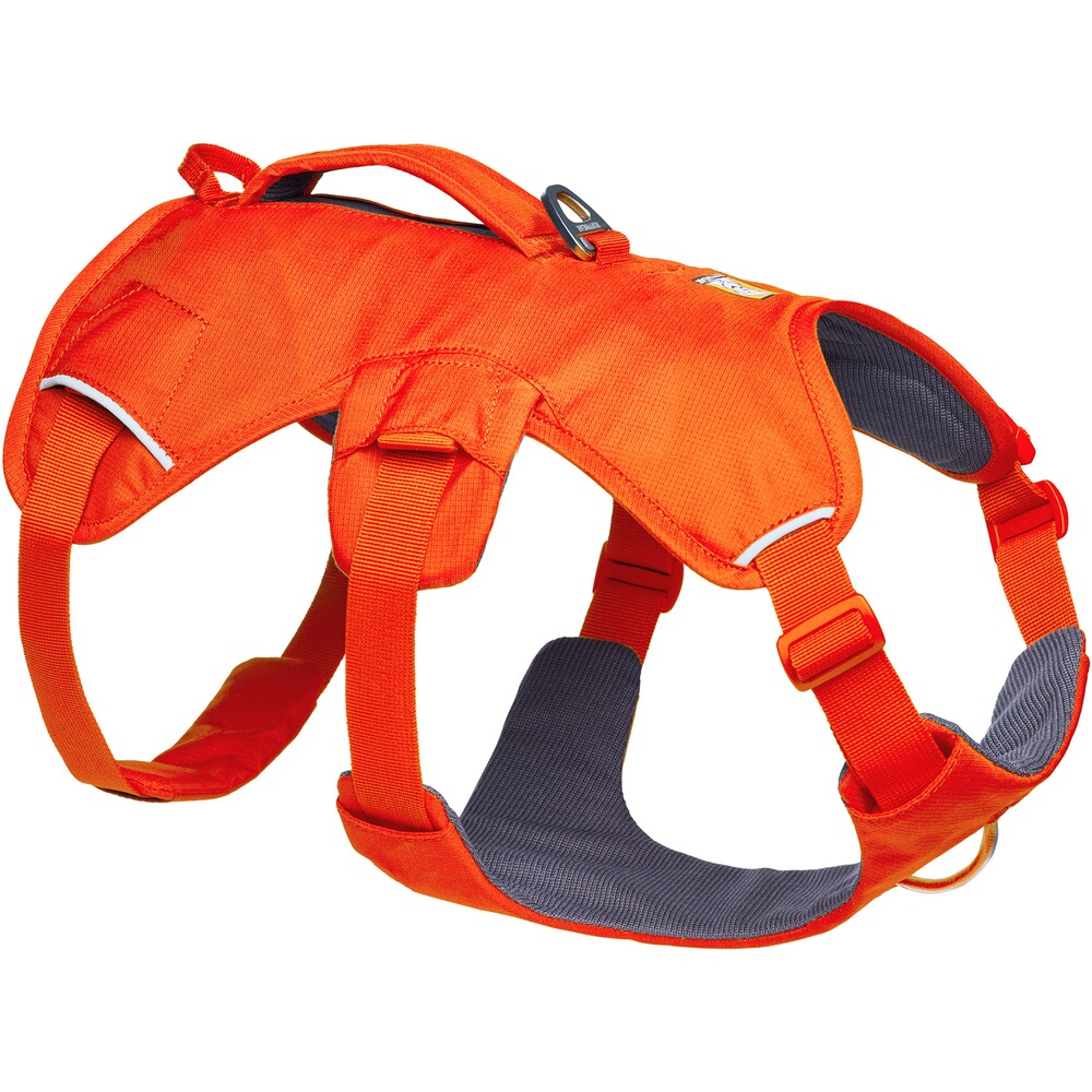 Hundegeschirr Web Master™