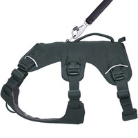 Harnais pour chien Web Master™, Ruffwear