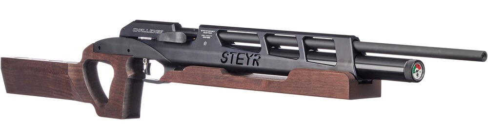 Luftgewehr Challenge BR 25, Steyr Sport