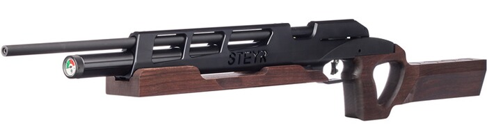 Luftgewehr Challenge BR 25, Steyr Sport