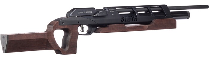 Luftgewehr Challenge BR 25, Steyr Sport