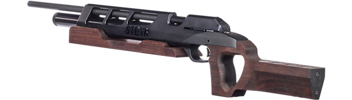 Luftgewehr Challenge BR 25, Steyr Sport
