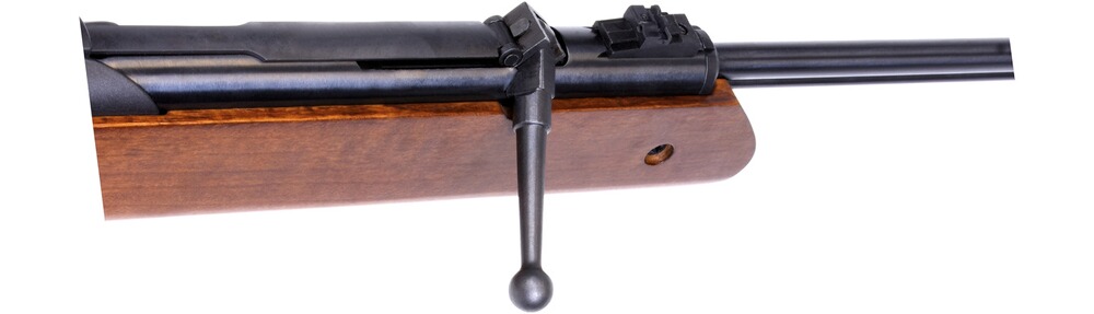 Luftgewehr Oktoberfest, Diana