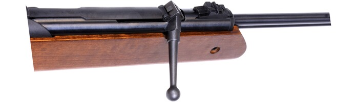Luftgewehr Oktoberfest, Diana