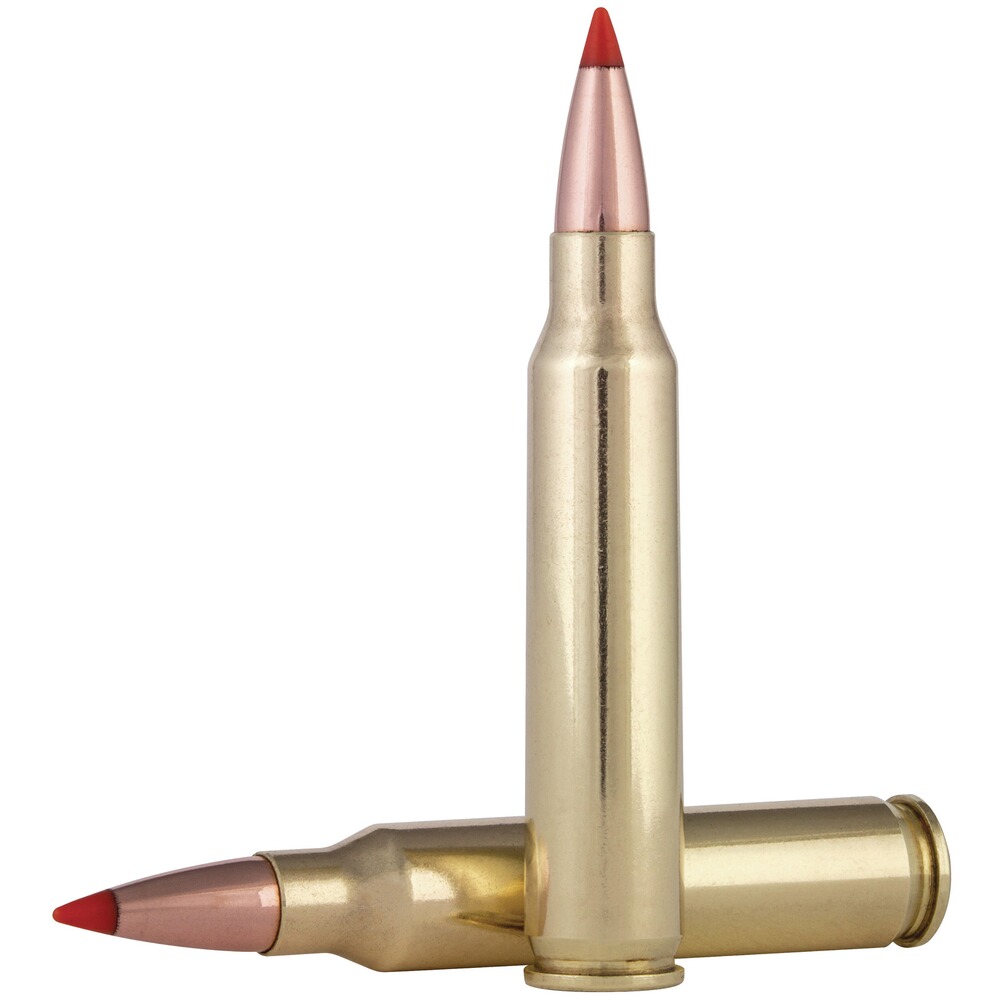 .308 Win. Varmint & Predator V-Max 7,1g/110grs., Federal Ammunition