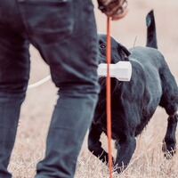 Apportierdummy HexaBumper, EUROHUNT