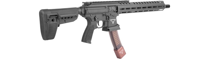 Airsoft Gewehr Custom PF MPX JW TTI S-AEG, SIG Sauer