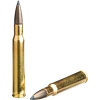 .30-06 Spr. CDX 9,7g/150grs., Blaser
