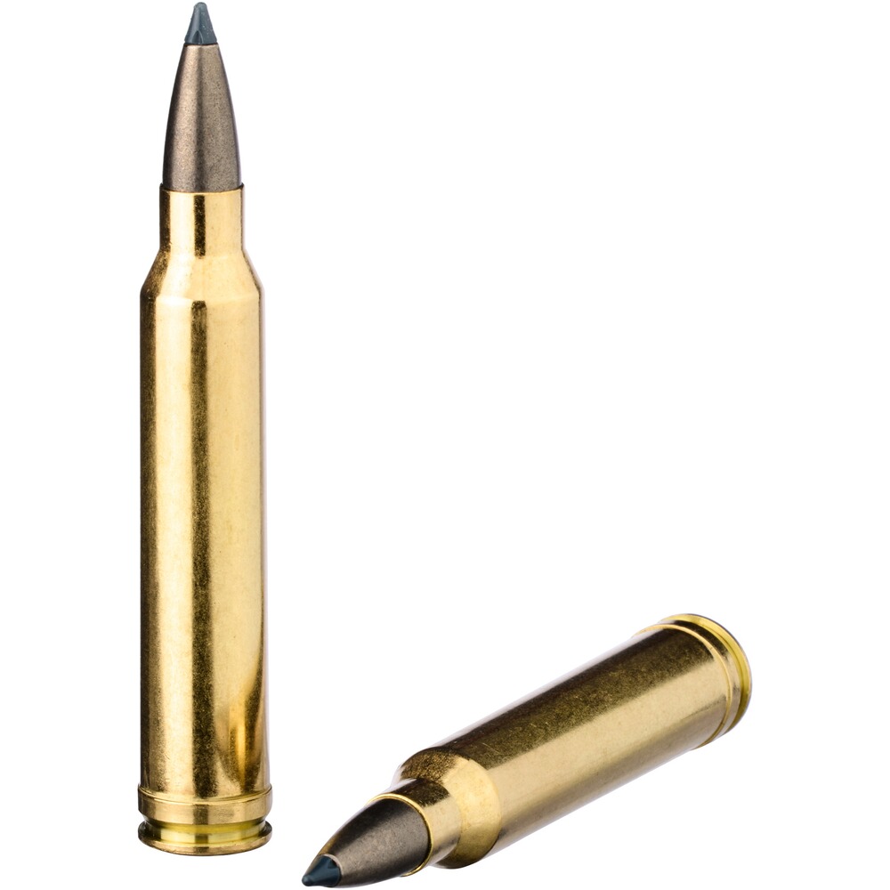 .300 Win. Mag. CDX 10,7g/165grs., Blaser